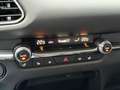 Mazda CX-30 SKY.-G 2.0 M Hybrid Selection HUD BOSE ACC Rot - thumbnail 22