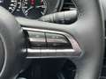 Mazda CX-30 SKY.-G 2.0 M Hybrid Selection HUD BOSE ACC Rot - thumbnail 23