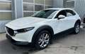 Mazda CX-30 e-Skyactive G140 Exclusive-Line Weiß - thumbnail 1