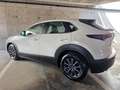 Mazda CX-30 2.5L e-SKYACT G MHEV 103kW Prime-Line MT Blanco - thumbnail 9
