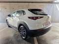 Mazda CX-30 2.5L e-SKYACT G MHEV 103kW Prime-Line MT Blanco - thumbnail 8