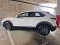 Mazda CX-30 2.5L e-SKYACT G MHEV 103kW Prime-Line MT Blanco - thumbnail 10