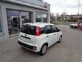 Fiat Panda 4x2 FireFly Hybrid 70 Weiß - thumbnail 4