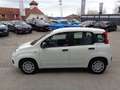 Fiat Panda 4x2 FireFly Hybrid 70 Weiß - thumbnail 7