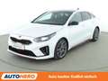 Kia ProCeed / pro_cee'd 1.6 TGDI GT Aut.*NAV*LED*ACC*CAM*PDC*SHZ*ALU* Blanco - thumbnail 1