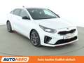 Kia ProCeed / pro_cee'd 1.6 TGDI GT Aut.*NAV*LED*ACC*CAM*PDC*SHZ*ALU* Blanco - thumbnail 8