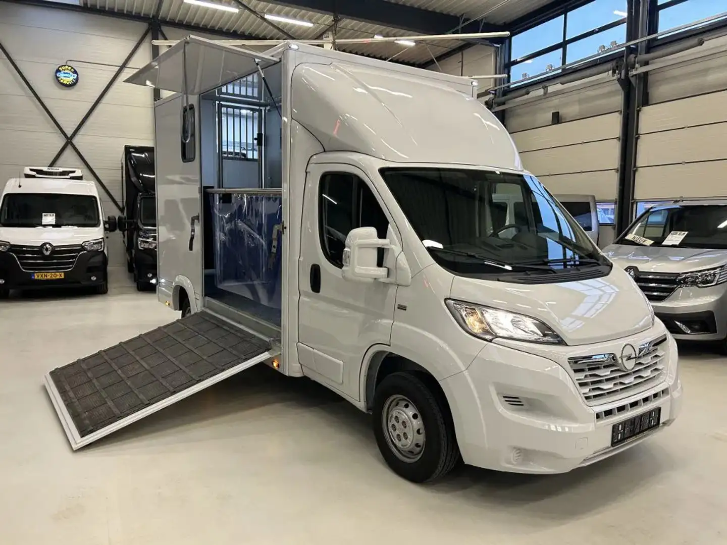Opel Paardenwagen/Veewagen Hengsten Uitvoering Airco Cr Alb - 2