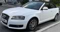 Audi A3 Cabriolet 1,9 TDI Attraction DPF - thumbnail 9