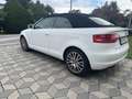 Audi A3 Cabriolet 1,9 TDI Attraction DPF - thumbnail 4