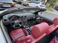 Audi A3 Cabriolet 1,9 TDI Attraction DPF - thumbnail 7