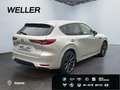 Mazda CX-60 e-SKYACTIV-D 200 M HYBR HOMURA *Matrix*360* Grau - thumbnail 18