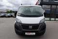 Fiat Ducato Ducato Pritsche MAXI 35 L5 Pritsche RS: 4035 mm Weiß - thumbnail 18