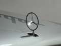 Mercedes-Benz S 320 CDI Gris - thumbnail 31