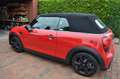 MINI Cooper Cabrio Classic Trim Rot - thumbnail 7