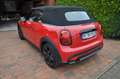 MINI Cooper Cabrio Classic Trim Rot - thumbnail 6