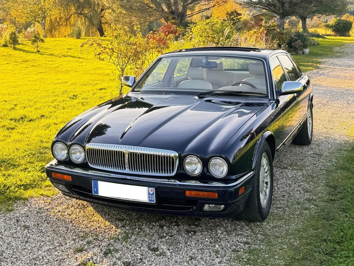 Daimler Double Six Azul - 1