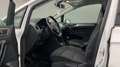 Volkswagen Golf 1.6TDI Advance 85kW Weiß - thumbnail 6