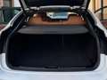 BMW X6 xDrive 40dA Blanco - thumbnail 15