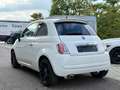 Fiat 500 Sport |101PS|KLIMA| Weiß - thumbnail 6