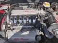 Alfa Romeo Spider Rouge - thumbnail 8