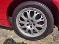 Alfa Romeo Spider Rouge - thumbnail 7