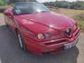 Alfa Romeo Spider Rouge - thumbnail 2