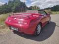 Alfa Romeo Spider Rouge - thumbnail 4