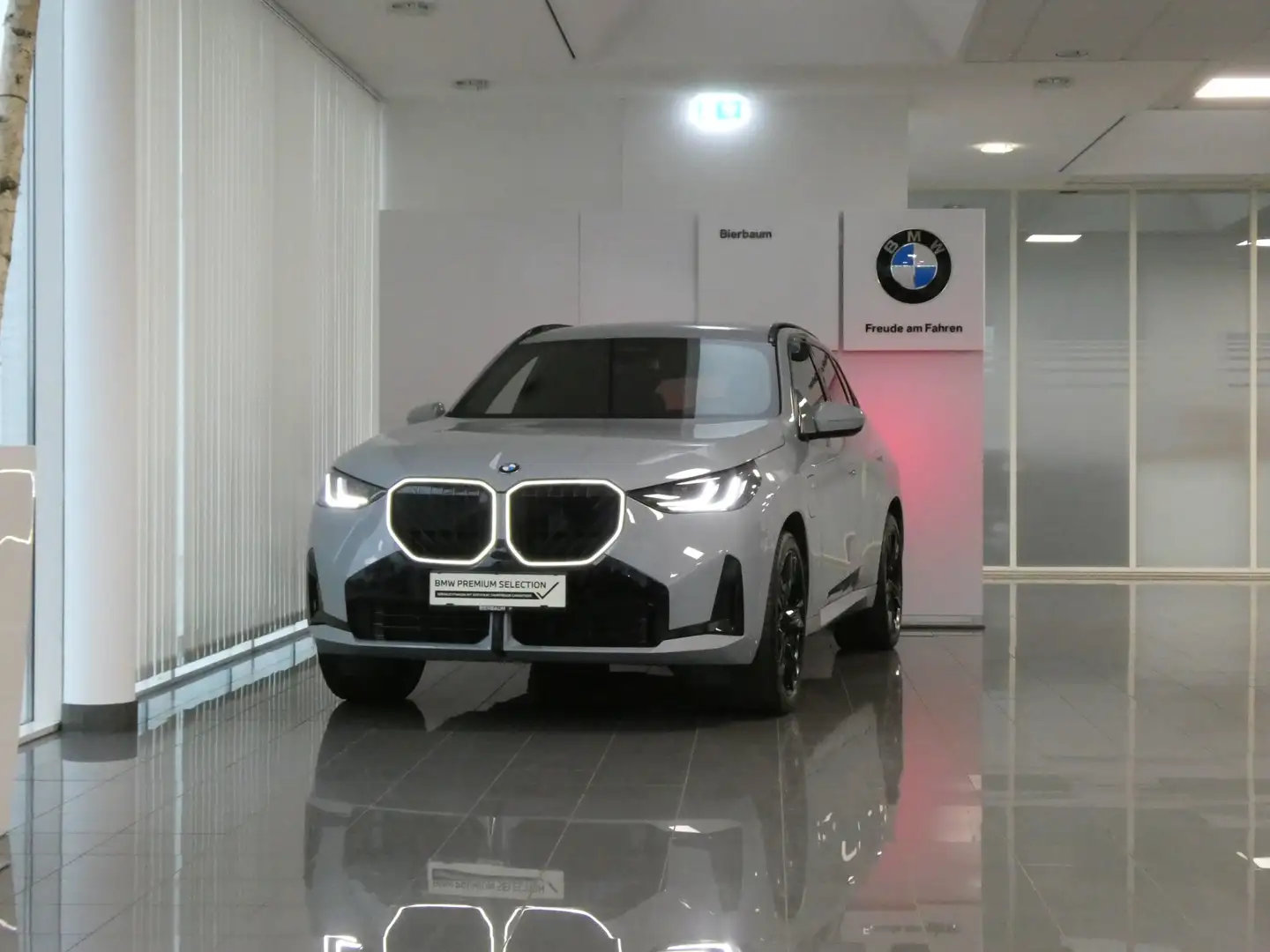 BMW X3 30e xDrive Grau - 2