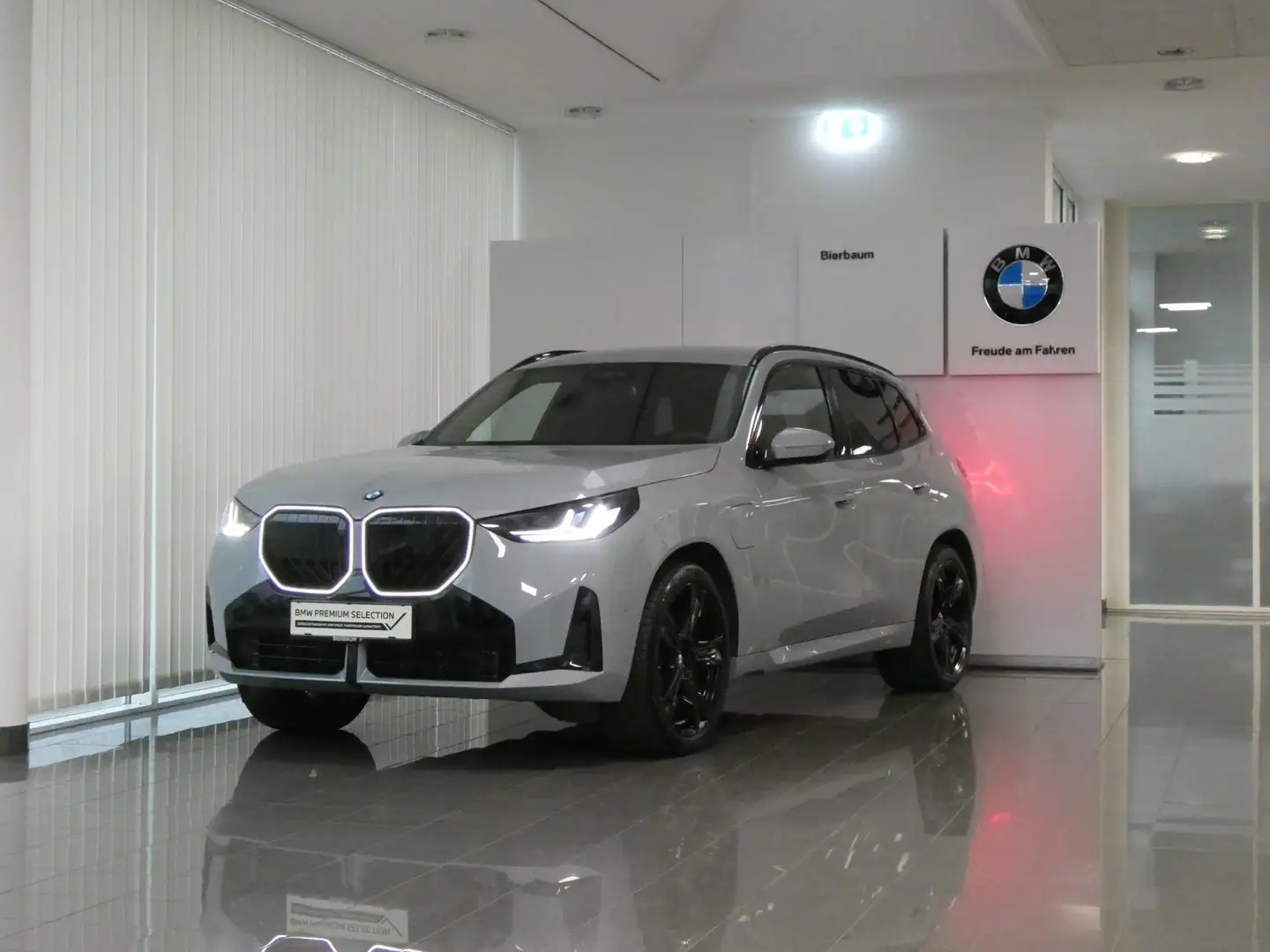 BMW X3 30e xDrive Grau - 1