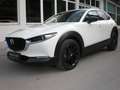 Mazda CX-30 X186 AT AWD Homura Weiß - thumbnail 1