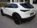 Mazda CX-30 X186 AT AWD Homura Weiß - thumbnail 7