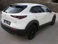 Mazda CX-30 X186 AT AWD Homura Weiß - thumbnail 4