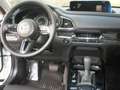 Mazda CX-30 X186 AT AWD Homura Weiß - thumbnail 11