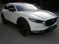 Mazda CX-30 X186 AT AWD Homura Weiß - thumbnail 3