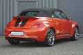 Volkswagen Beetle Cabri. Sport R Line Fender Bi-Xenon SHZ Orange - thumbnail 7
