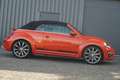 Volkswagen Beetle Cabri. Sport R Line Fender Bi-Xenon SHZ Orange - thumbnail 5