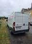 Citroen Jumper 30 L1H1 Transline Solution - thumbnail 6
