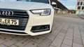 Audi A4 Avant 35 TDI S-Line Blanco - thumbnail 11