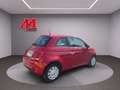 Fiat 500 500 1.0 hybrid Cult 70cv Rood - thumbnail 6