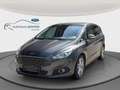 Ford S-Max S-MAX Titanium 2.0 EcoBlue SCR AWD Titanium Grau - thumbnail 5
