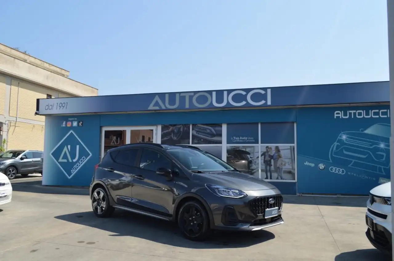Ford Fiesta 1.0 Ecoboost Hybrid 5 porte Active 125 CV, миниатюра 3