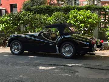 TR3A