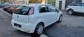 Fiat Punto Evo Punto Evo 5p 1.2  S Bianco - thumbnail 3