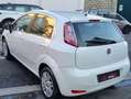 Fiat Punto Evo Punto Evo 5p 1.2  S Bianco - thumbnail 4