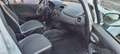 Fiat Punto Evo Punto Evo 5p 1.2  S Bianco - thumbnail 6