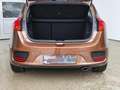 Kia Ceed / cee'd 1.4 Dream Team SHZ|Klimaaut.|Lenkradhzg. Bronze - thumbnail 23