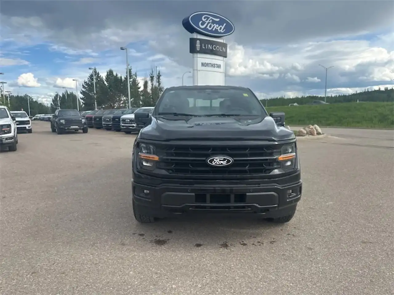 Ford F 150 fotografie Ford F 150
