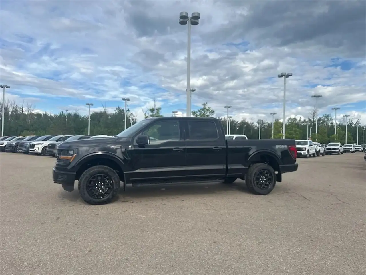 Ford F 150 fotografie Ford F 150