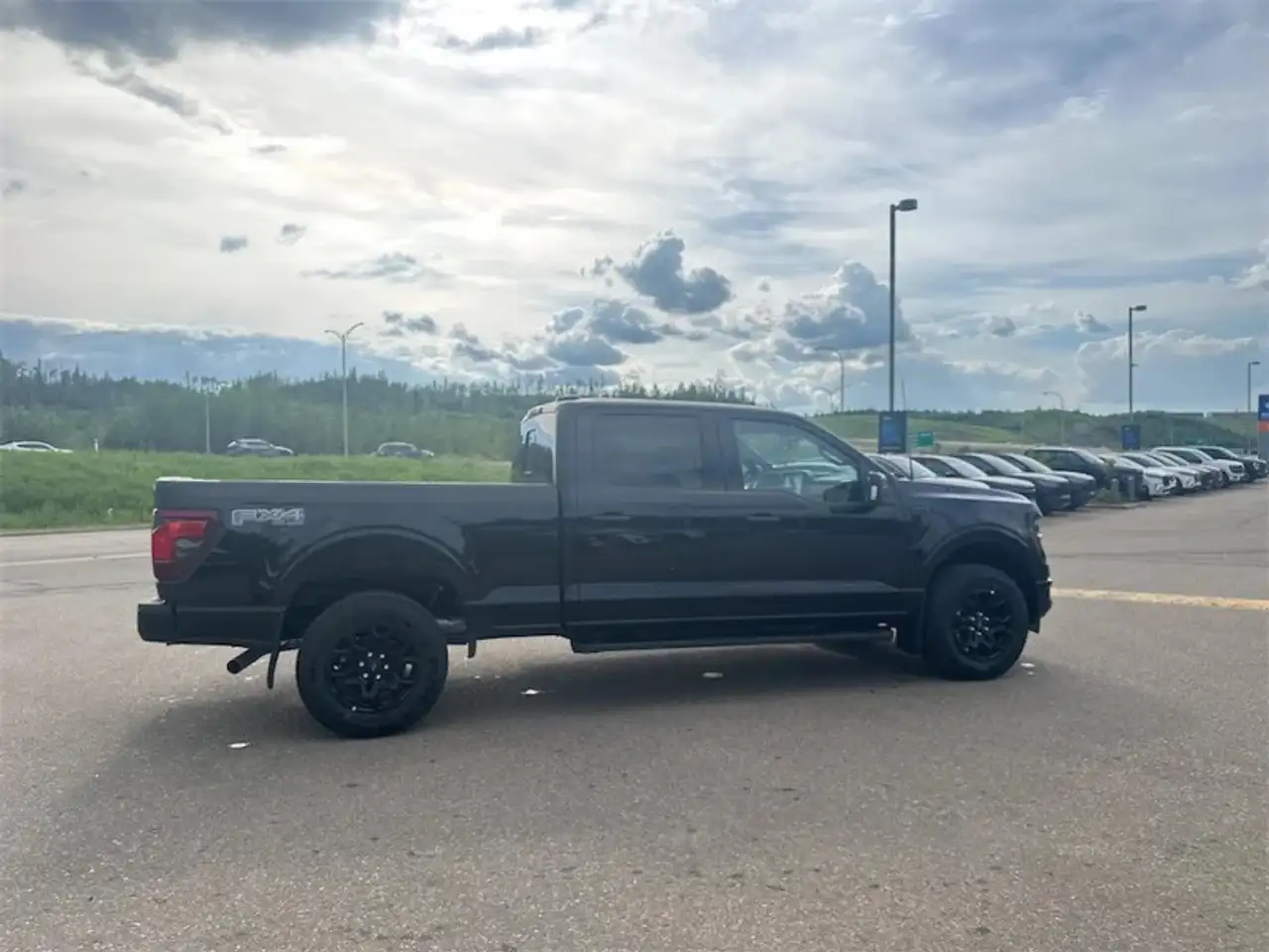 Ford F 150 fotografie Ford F 150