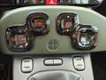 Fiat Panda 1.3 MJT 4x4 Verde - thumbnail 20